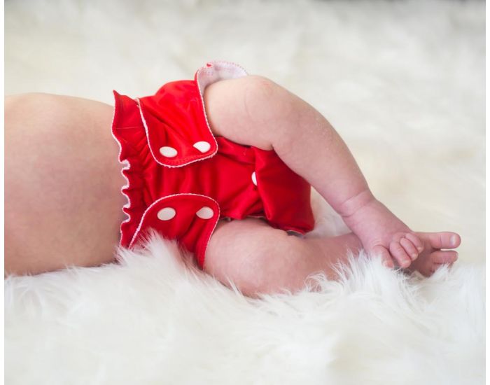 APPLECHEEKS Couche Lavable TE1  poche / TE2 -Taille Unique : 2.8/16 kg (14)