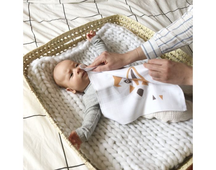 CAROTTE & CIE Lot de 3 grandes lingettes lavables (1)