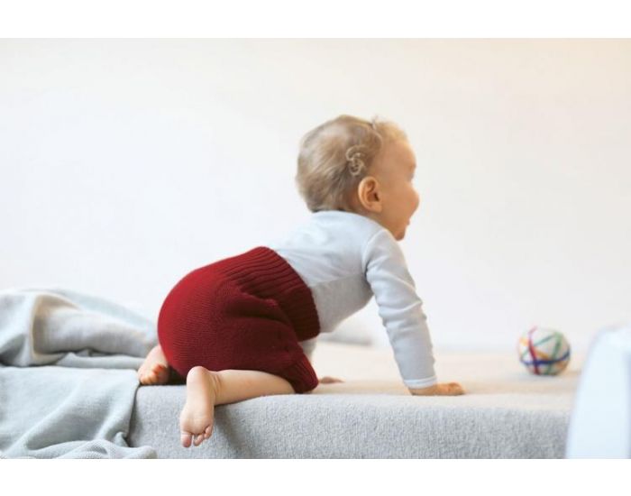 DISANA Culotte de protection en laine Mrinos - bordeaux (1)