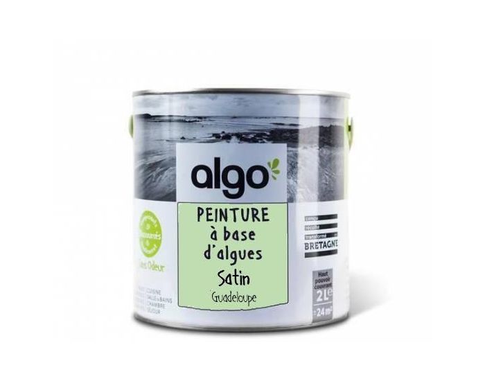 ALGO PAINT Peinture Biosource Dcorative Verte Finition Satin (Guadeloupe) (1)