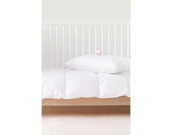 KADOLIS Oreiller Duvet et Plume Blanc (3)