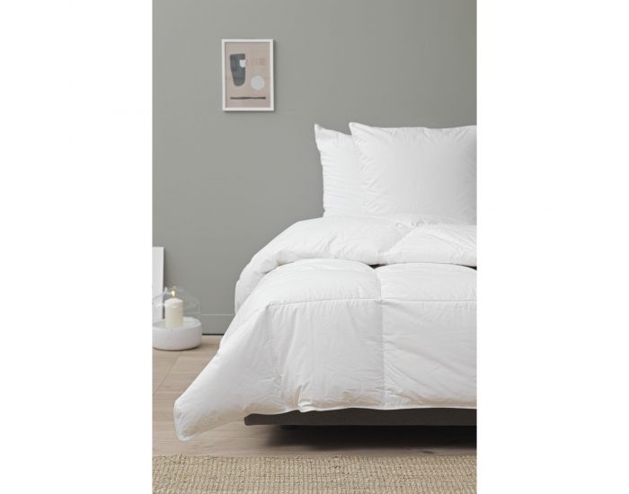 KADOLIS Couette Adulte en Duvet de Plume de Canard (2)