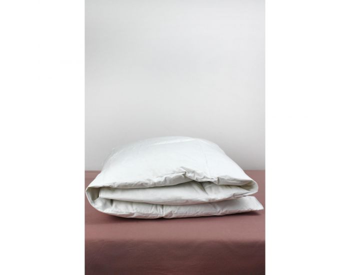KADOLIS Couette Adulte en Duvet de Plume de Canard (7)
