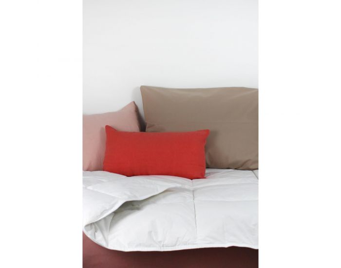 KADOLIS Couette Adulte en Duvet de Plume de Canard (8)