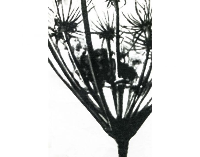 KADOLIS Housse de couette adulte en coton bio blanc avec inscription + taies (2)