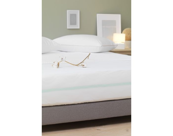 KADOLIS Alse Adulte Impermable Bouclette - Coton Bio (2)