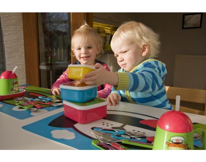 TUMTUM Lot de 4 Boites gigognes Bugs (8)