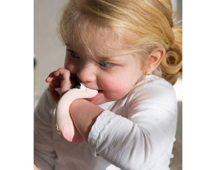 Bracelet de dentition Flamingo - D�s la naissance (1)