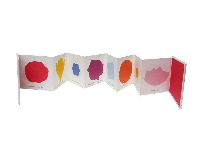 EDITIONS MEMO Mmo des fleurs - Ds 4 ans (1)