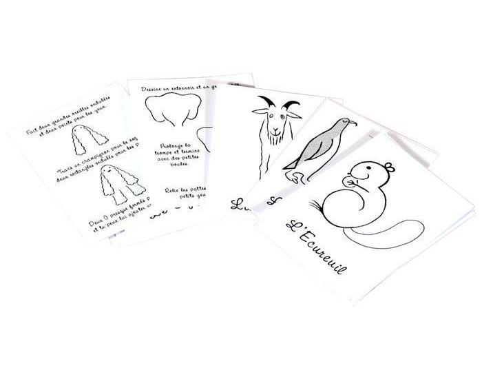 MARC VIDAL J'apprends � Dessiner les Animaux - D�s 5 ans (1)