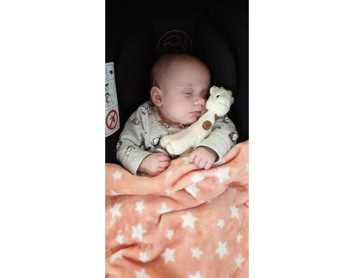 IRREVERSIBLE Collier d'ambre & quartz rose - Pour bb (6)