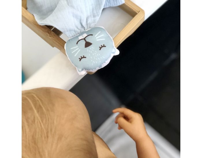 CAROTTE & CIE Doudou Castor en Double Gaze - Bleu - D�s la Naissance (1)