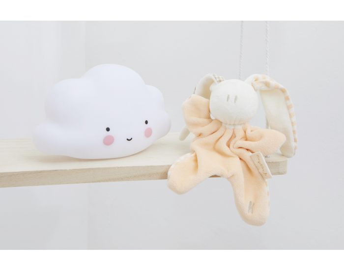 PREMIERS MOMENTS Veilleuse Nuage - A Little Lovely Company (5)