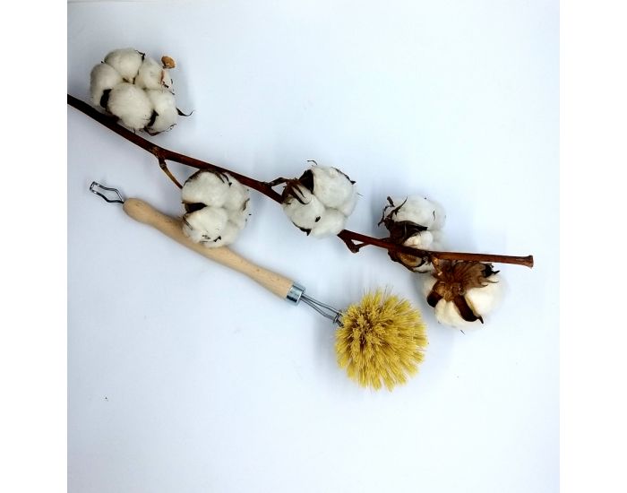 ZOESSENTIELS Box Vaisselle au Naturel  (3)