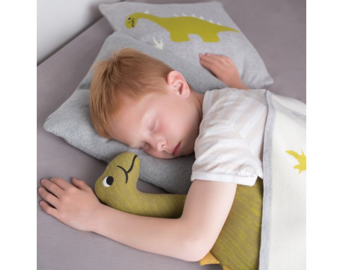SEVIRA KIDS Taie de Coussin en Coton Biologique  (1)