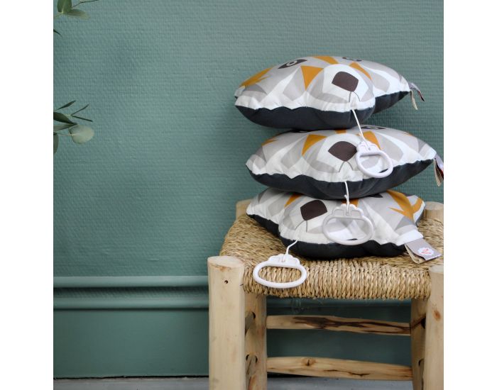 CAROTTE & CIE Coussin Musical Renard - La vie en rose (1)