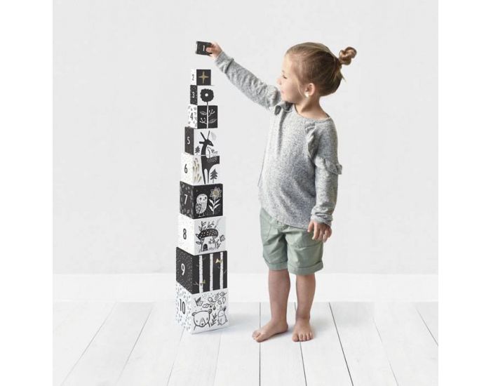 WEE GALLERY Cubes Compter et Empiler For�t - Set de 10 - D�s 2 ans (1)