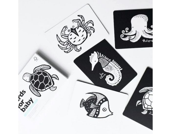 WEE GALLERY Bote de 6 cartes Imagier en Noir et Blanc - Ds la naissance (1)