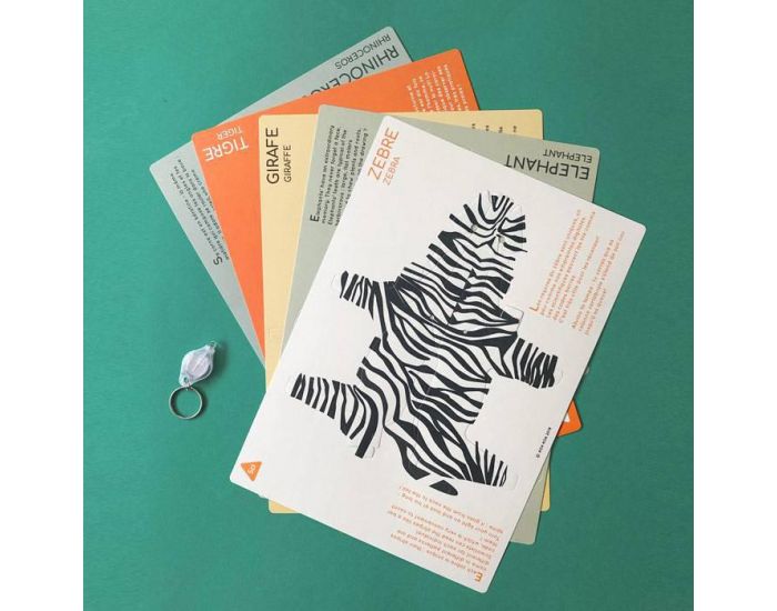 KOA KOA Animaux au Rayon X - Ds 6 ans (2)