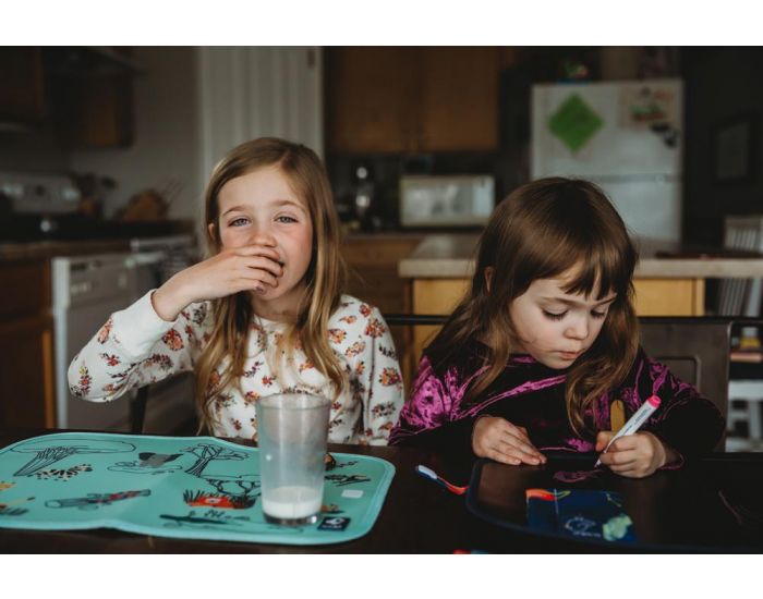 JAQ JAQ BIRD Ardoise Pliable + 4 Craies Zro poussire - Ds 3 ans (9)