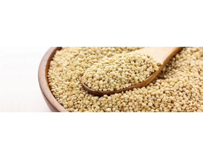ARTISANS DU MONDE Quinoa Blanc quitable et Bio - 500gr (2)