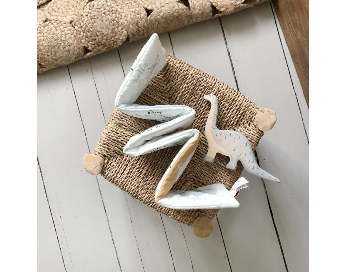 CAROTTE & CIE Livre d'Eveil Les Animaux de la For�t - D�s la naissance.  (2)