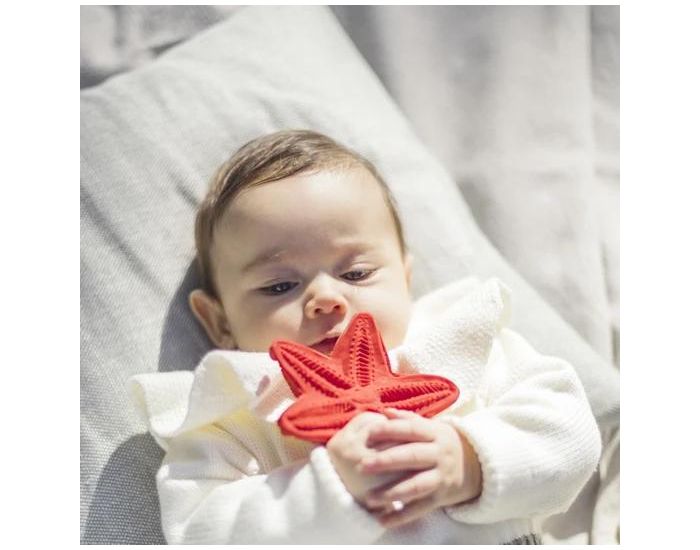 LANCO TOYS Jouet de dentition �toile de mer en caoutchouc naturel - D�s la naissance (1)