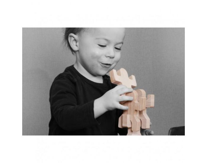 LES JOUETS LIBRES Jeu d'�quilibre et de Construction en Bois 