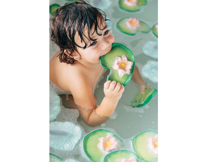 OLI & CAROL Jouet de Bain Water Lily le N�nuphar - D�s la Naissance (12)