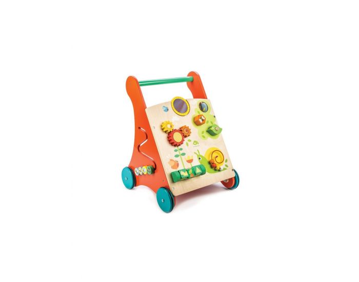 TENDER LEAF TOYS Trotteur d'Activit� en Bois - D�s 18 mois (4)