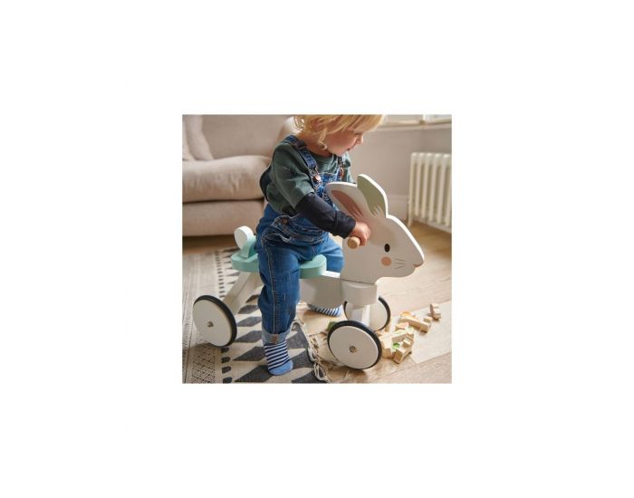 TENDER LEAF TOYS Trotteur Porteur Lapin en Bois - D�s 18 mois (7)
