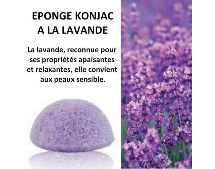 SUN AND SIA Eponge Konjac 100% Naturelle Enrichie  la Lavande - 100g (1)