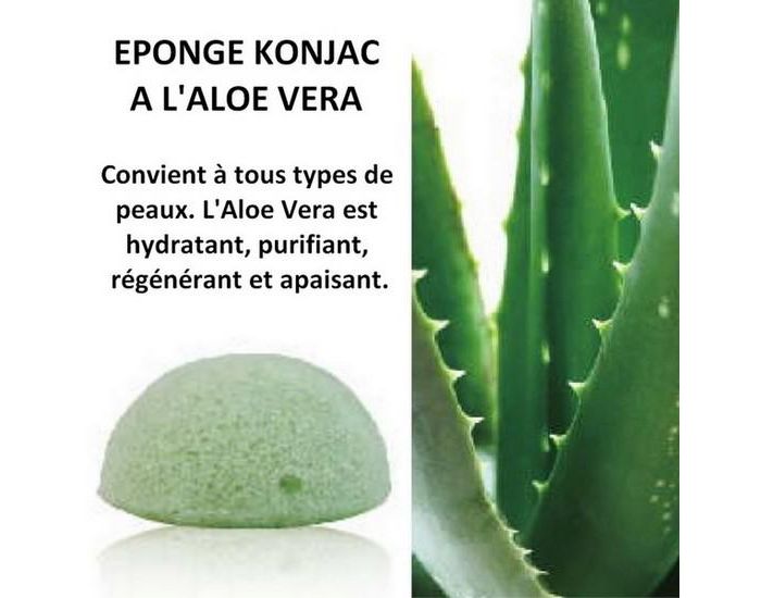 SUN AND SIA Eponge Konjac 100% Naturelle Enrichie  l'Aloe Vera - 100g (1)