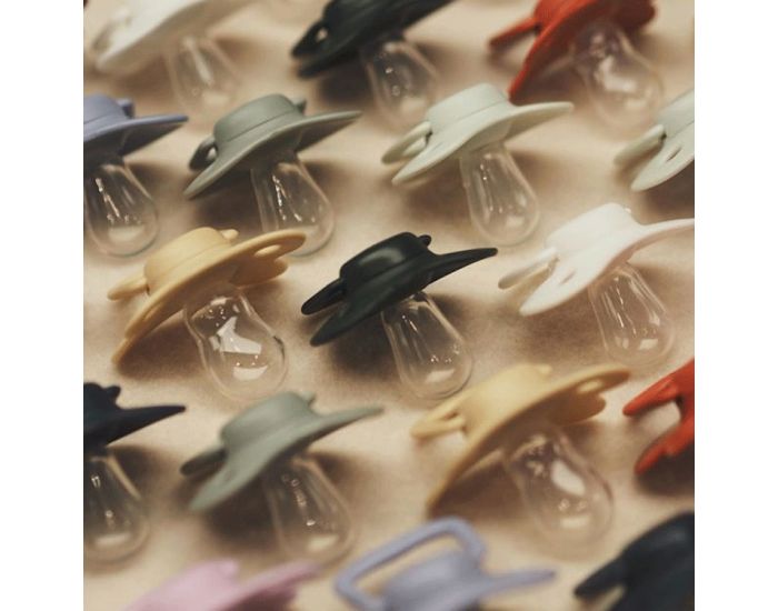 FILIBABBA Lot De 2 Sucettes Anatomiques - Ds 6 mois  (1)