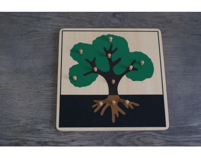 MAMONTESSORIBOX Puzzle Botanique Arbre - D�s 3 ans (1)