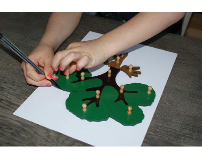 MAMONTESSORIBOX Puzzle Botanique Arbre - D�s 3 ans (3)