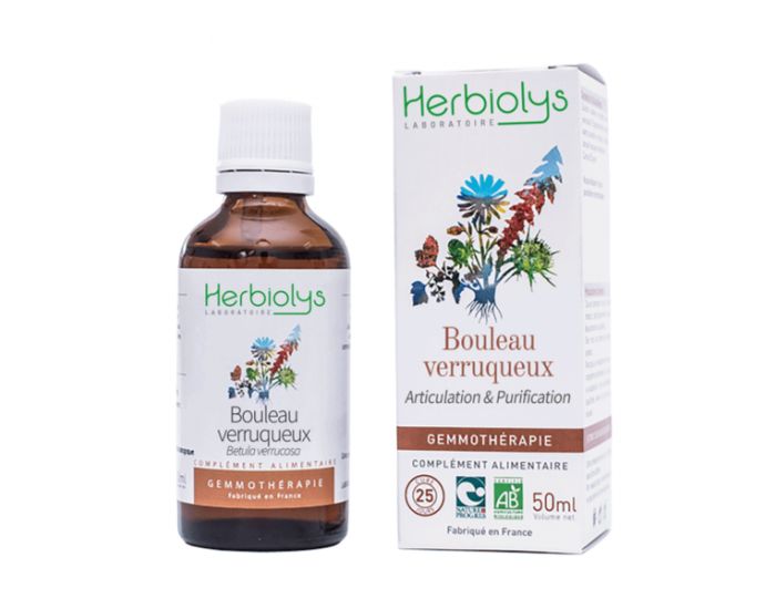 HERBIOLYS Bourgeons de Bouleau Verruqueux Bio - 50 ml (2)