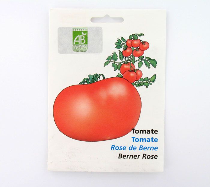 Tomate Rose de Berne