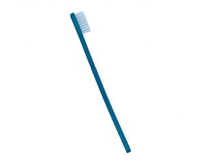 Brosse  Dents