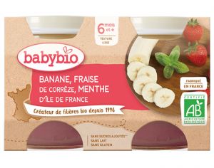 BABYBIO Mes Fruits - 2 x 130 g Banane Fraise Menthe - 6 mois