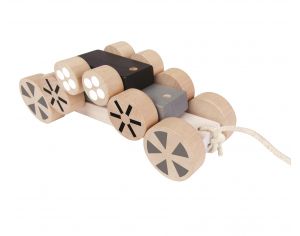 Jouets � Tirer et Pousser