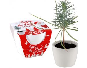 RADIS ET CAPUCINE Pot Céramique Blanc 8 cm - Sapin de Noël