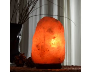 ZEN'ARôME Lampe en Cristal de Sel d'Himalaya de 2 à 3 kg  