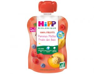 HIPP Gourde 100% Fruits - Dès 4 Mois - 90g Pomme Pêche Fruits des Bois