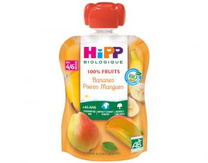 HIPP Gourde 100% Fruits - Dès 4 Mois - 90g Banane Poire Mangue