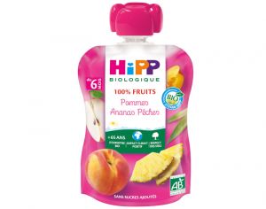 HIPP Gourde 100% Fruits - Dès 6 Mois - 90g Pomme Ananas Pêche