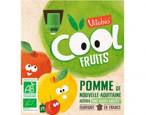 VITABIO Cool Fruits - Gourdes de Fruits - 4 x 90g Pomme