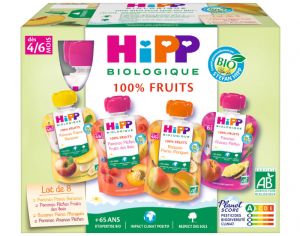 HIPP Gourdes 100% Fruits Multipack 4 Variétés - 8 x 90g - Dès 4-6 mois