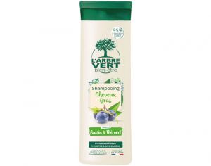L'ARBRE VERT BIEN-ÊTRE Shampooing Detox - Cheveux Gras - 250 ml
