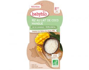 BABYBIO Bols Lactés Riz au Lait - 2 x 100 g - Dès 8 mois Coco Mangue